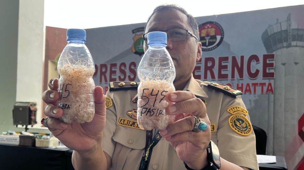 Dua Petugas Avsec Bandara Soetta Ditangkap karena Selundupkan Benih Lobster