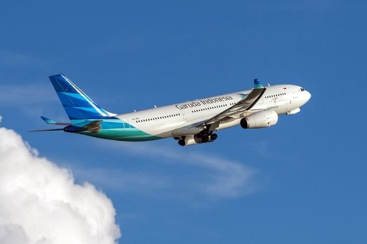 Viral iPhone Penumpang Hilang di Pesawat Garuda Indonesia, Anggota DPR Ini Juga Pernah Alami