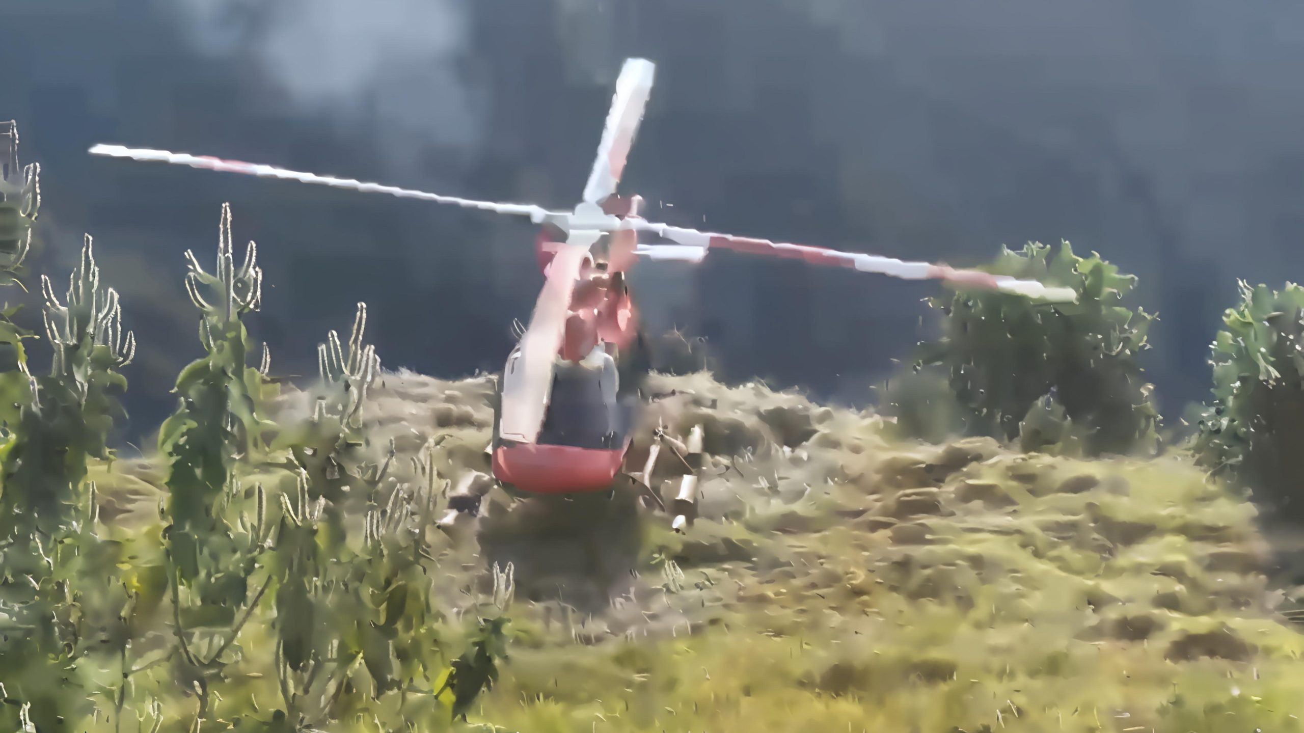 Terjadi Lagi! Pendaki Wanita Asal Belanda Jatuh di Gunung Rinjani